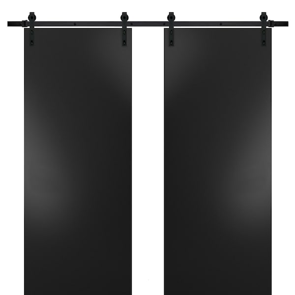 Sartodoors Barn Interior Door, 28" x 80", White PLANUM10DB-BLK-7284 - main